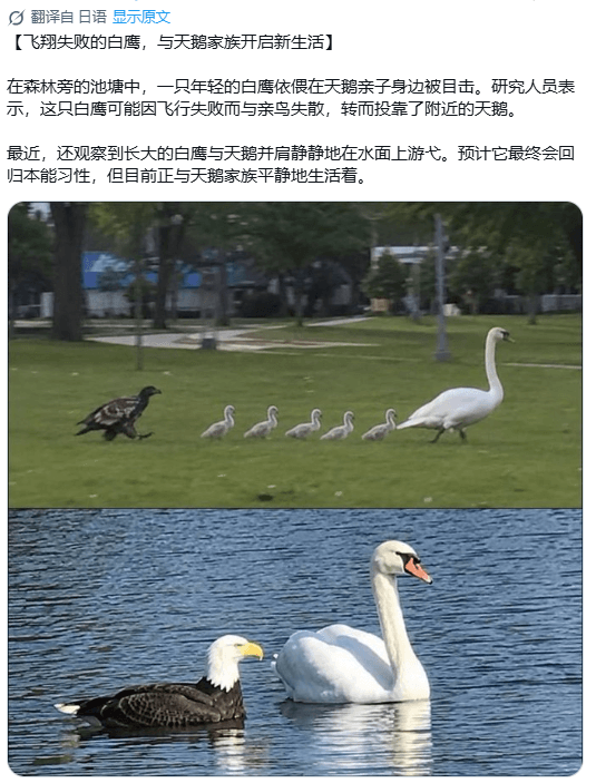 20260730193310389.png