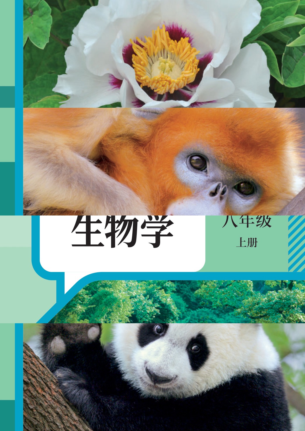 novel_23509be07d59.jpg