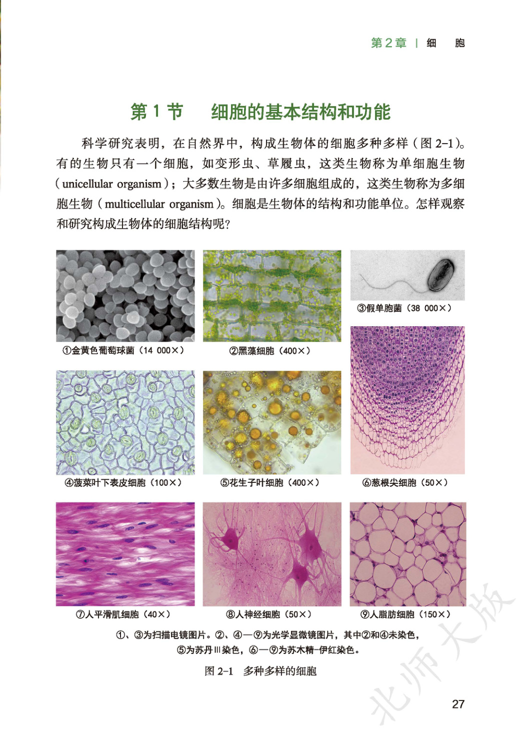 novel_68cb4595e119.jpg