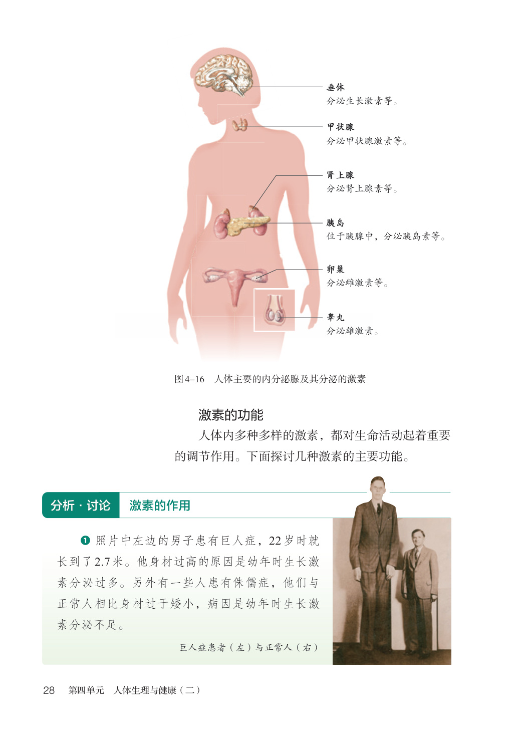 novel_3b5fd1fe20fb.jpg