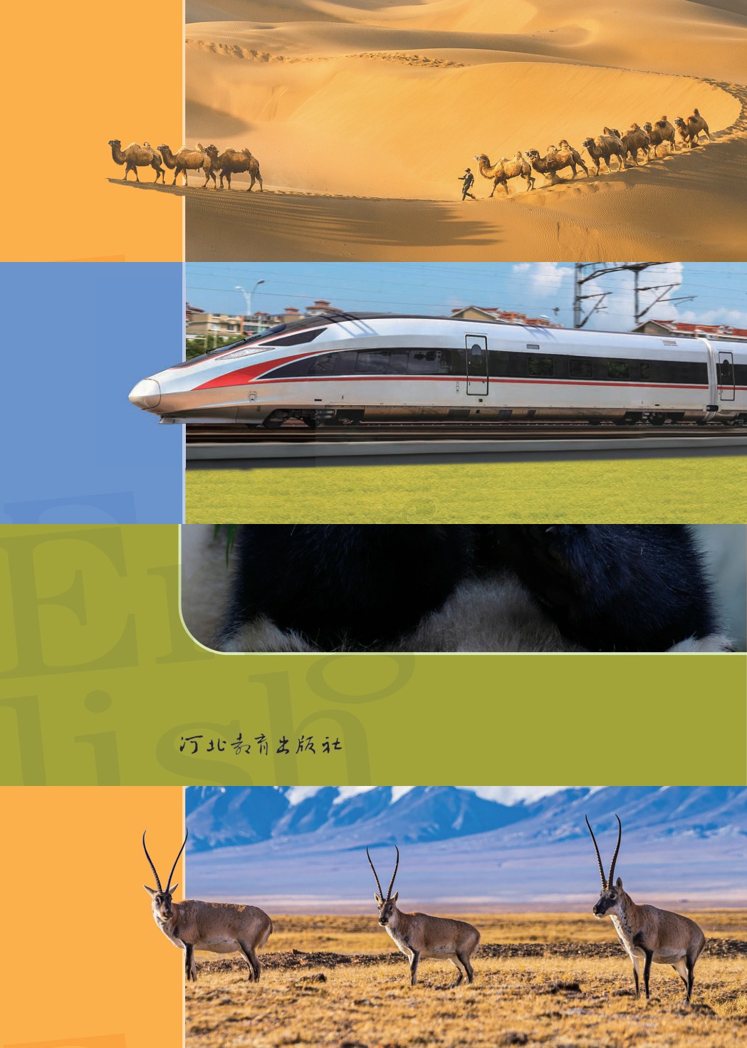 novel_8015072d68be.jpg