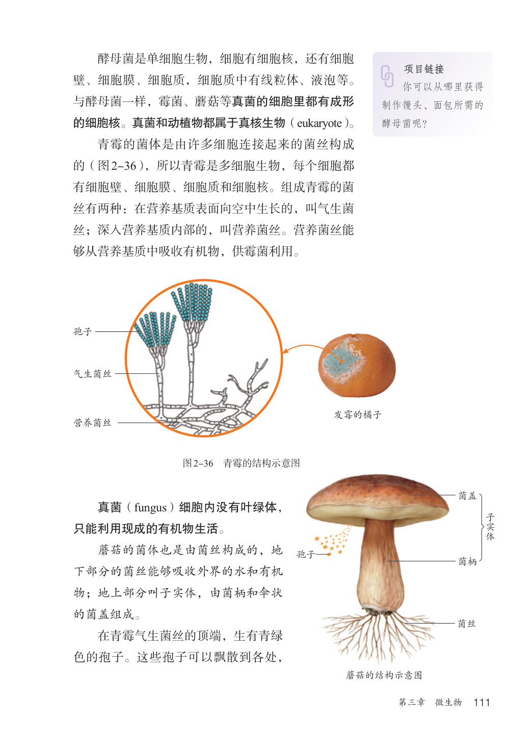 novel_ea20f758da12.jpg