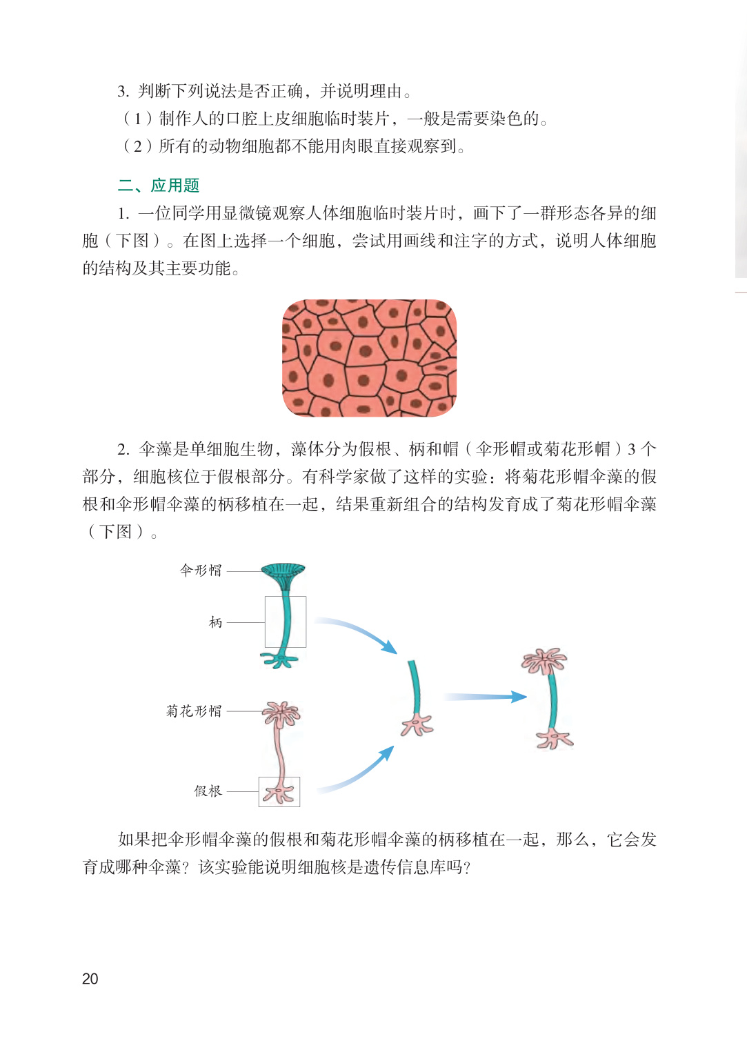 novel_5188ca6c14dd.jpg