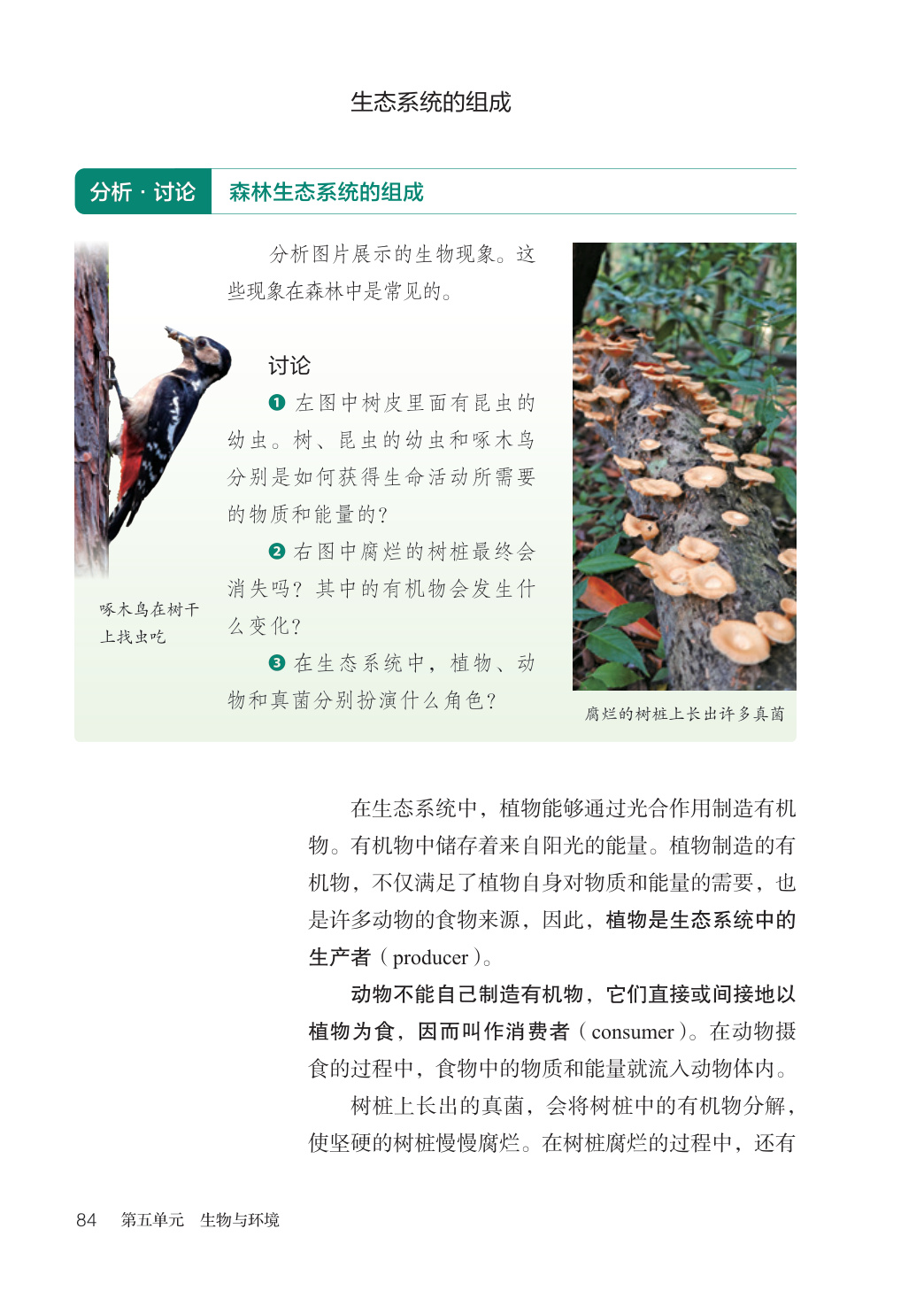 novel_504fdbfb1b53.jpg