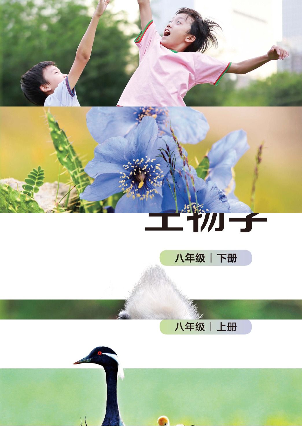 novel_6c60d4d9bb05.jpg