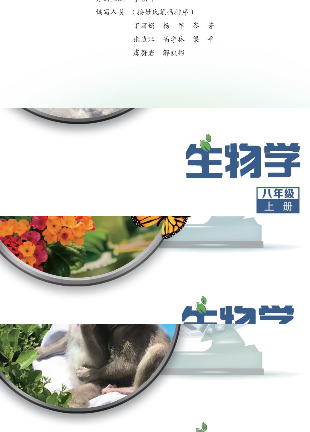 novel_587375c94696.jpg