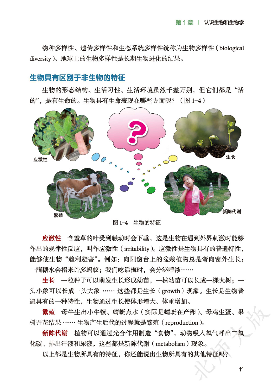 novel_a072527b3805.jpg