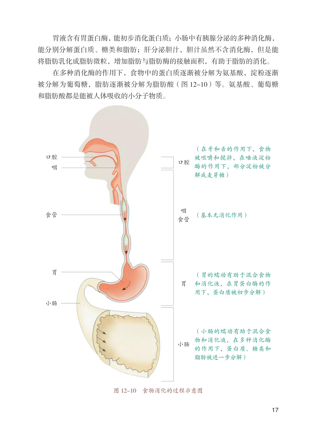 novel_46267c72db6b.jpg