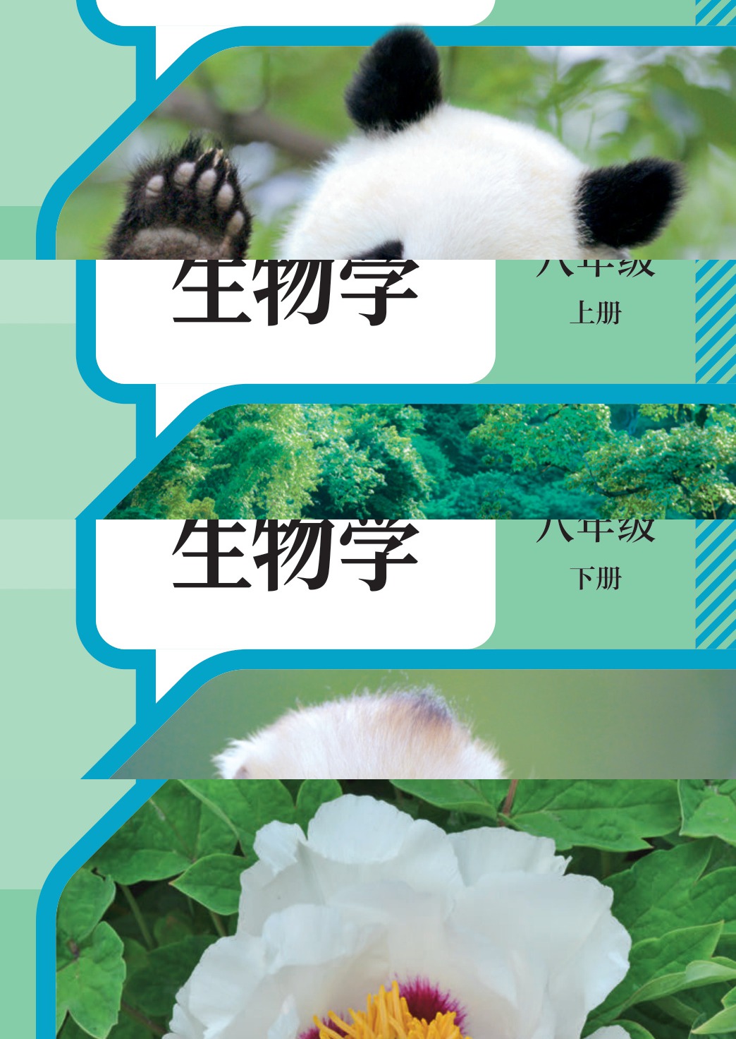 novel_0e69e01528b3.jpg
