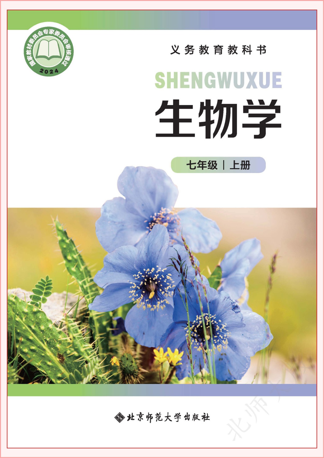 novel_794fd33db099.jpg