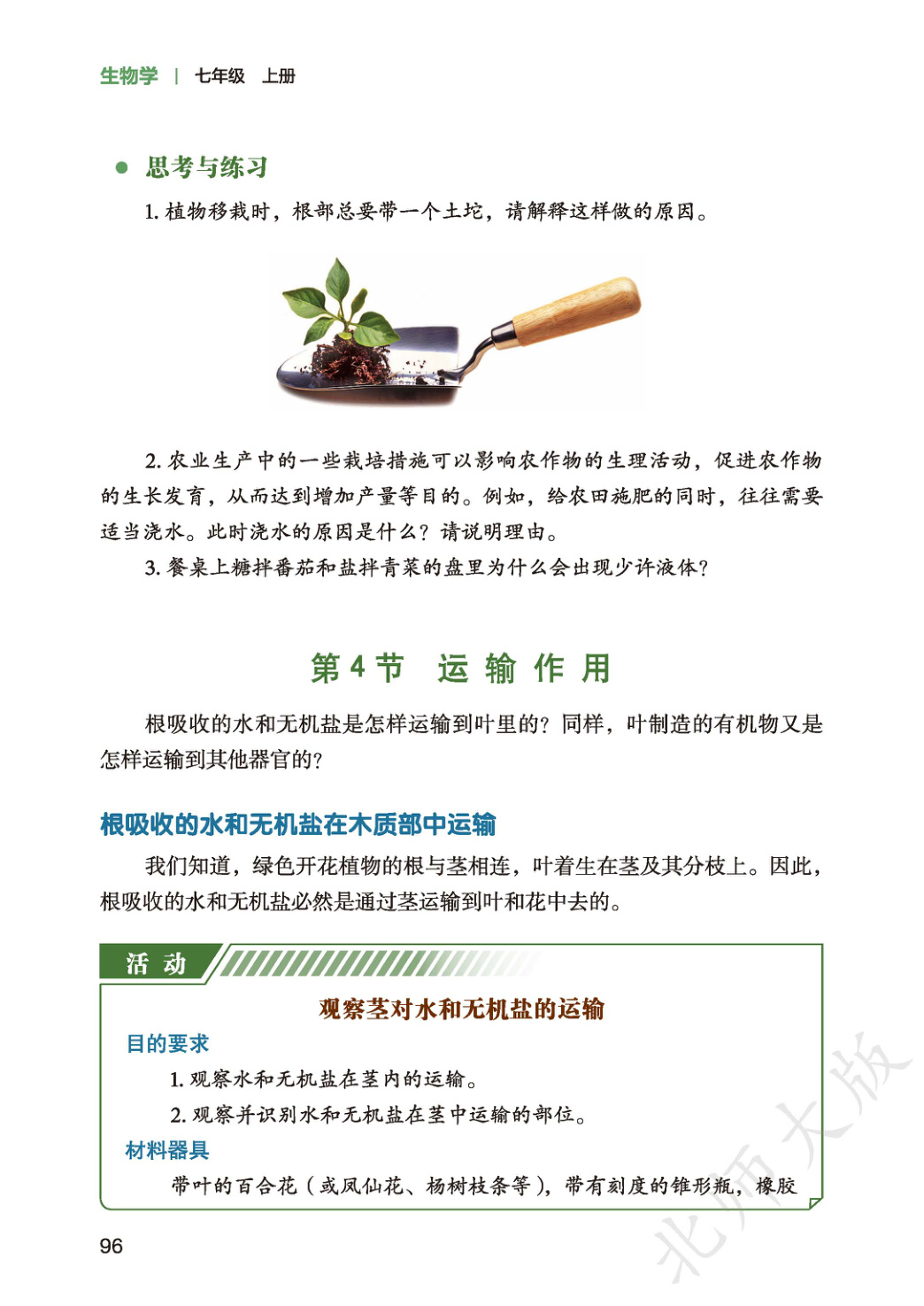 novel_13df707c7515.jpg