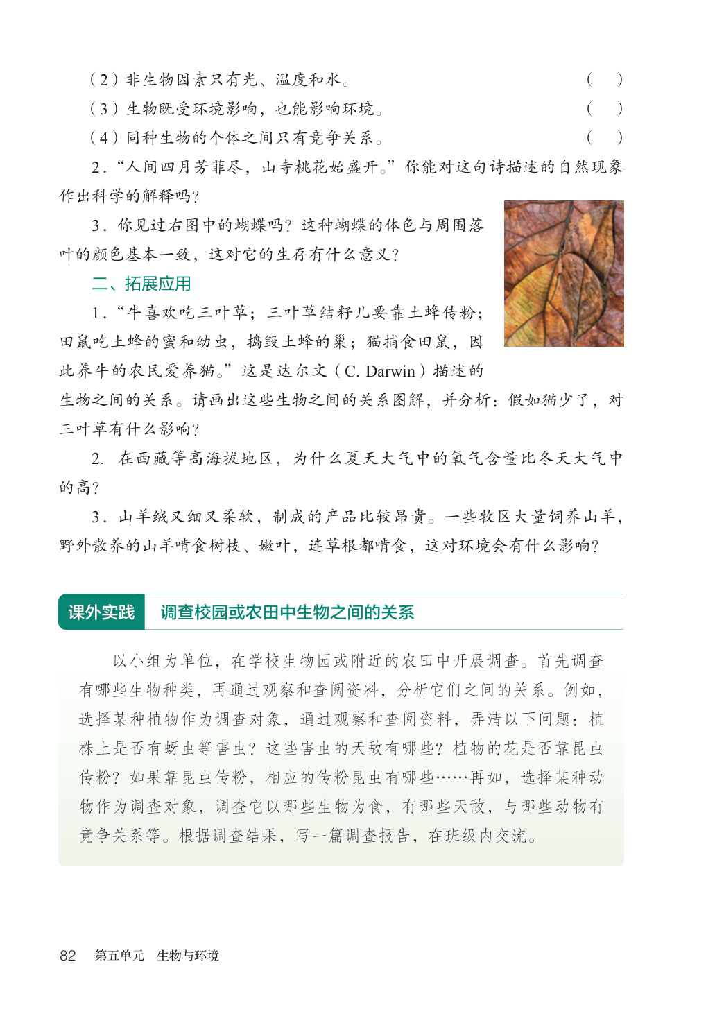 novel_0c8c08776407.jpg