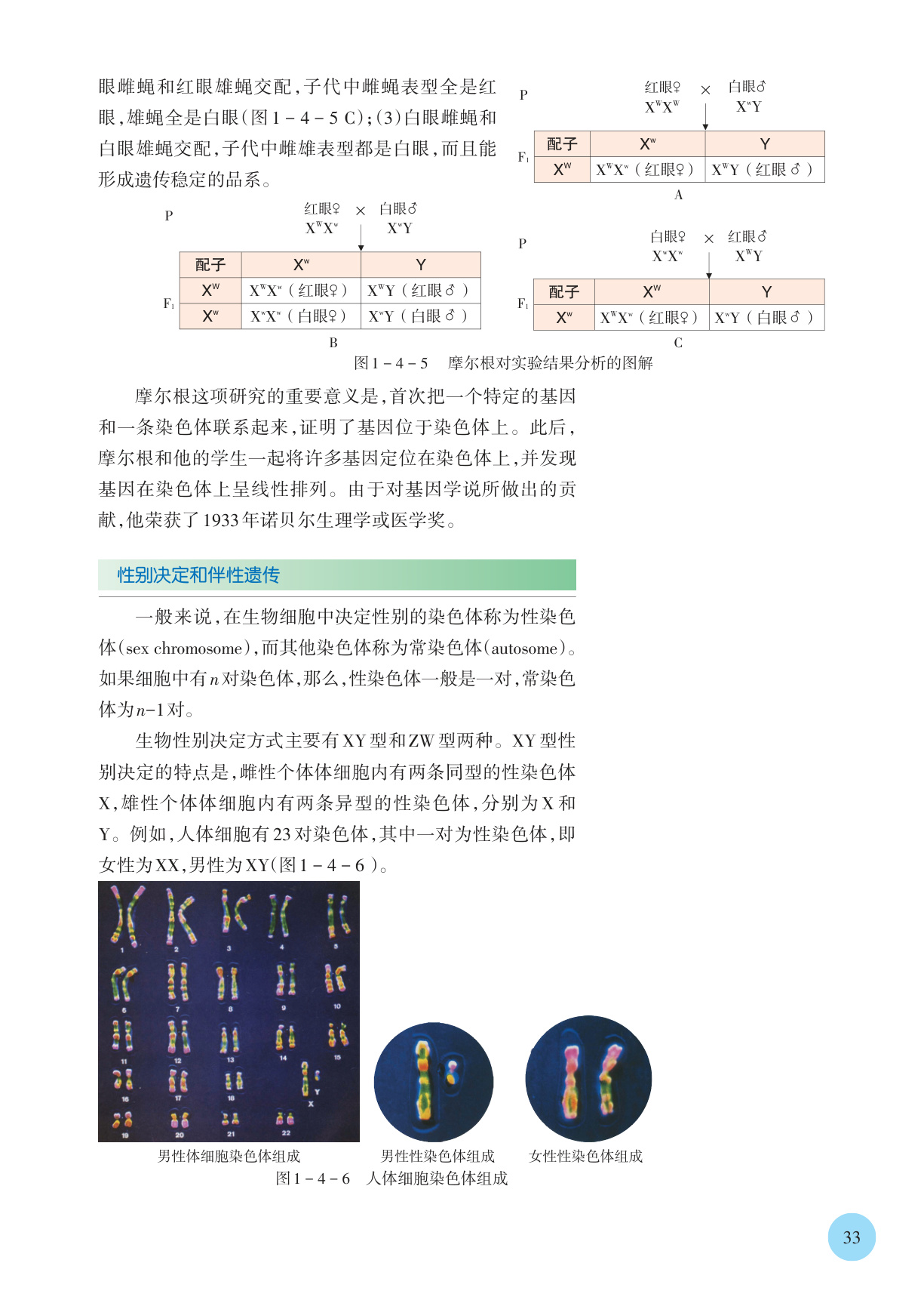 novel_3537a8b48c57.jpg