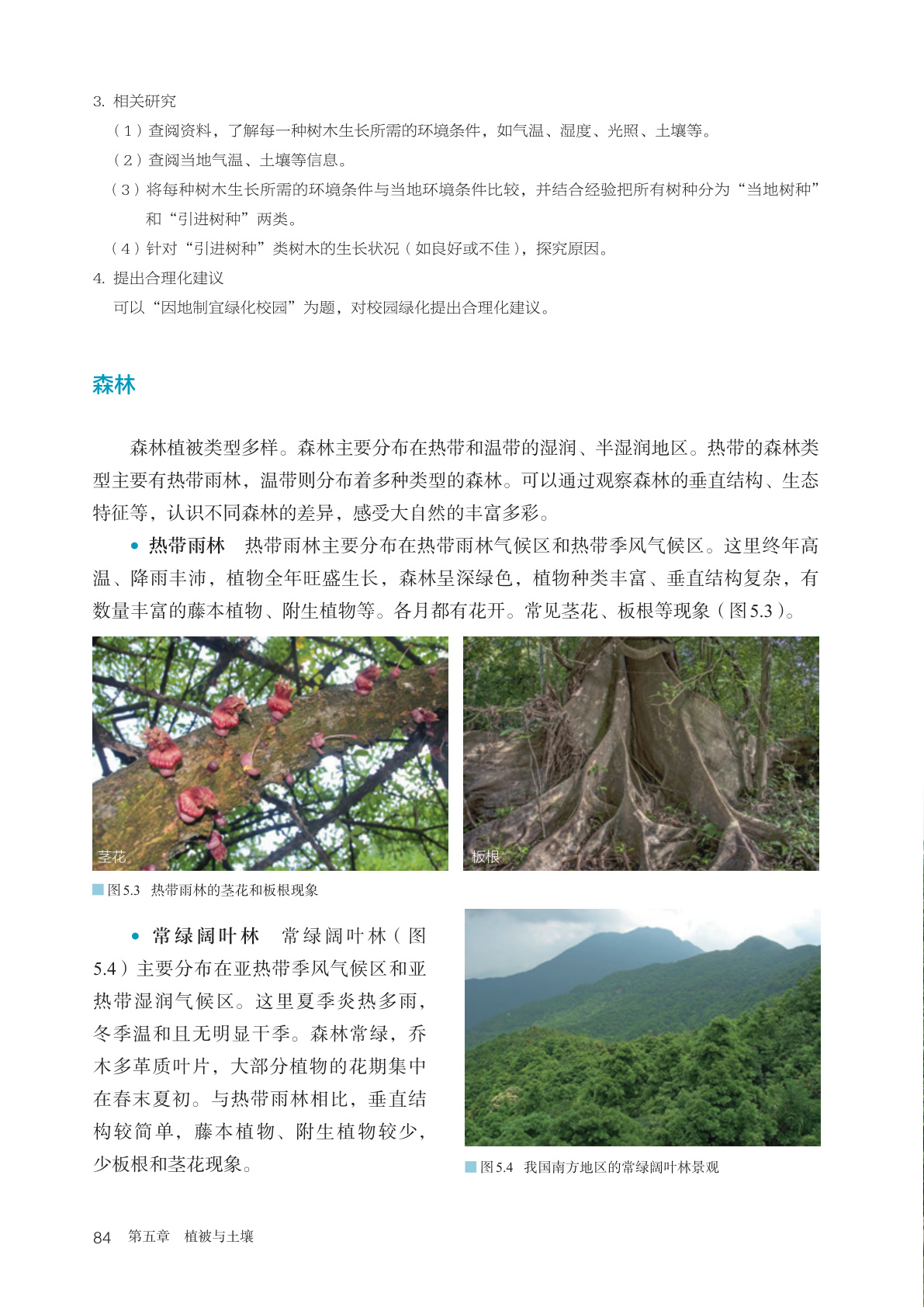 novel_be648de48ea3.jpg