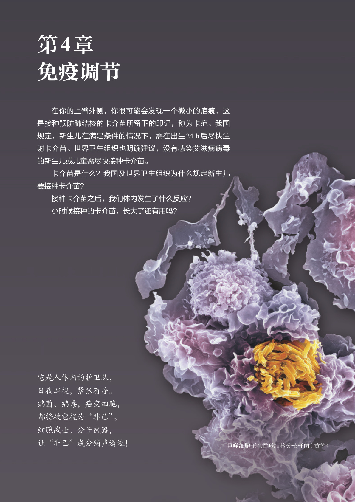 novel_b4d265ae32d8.jpg