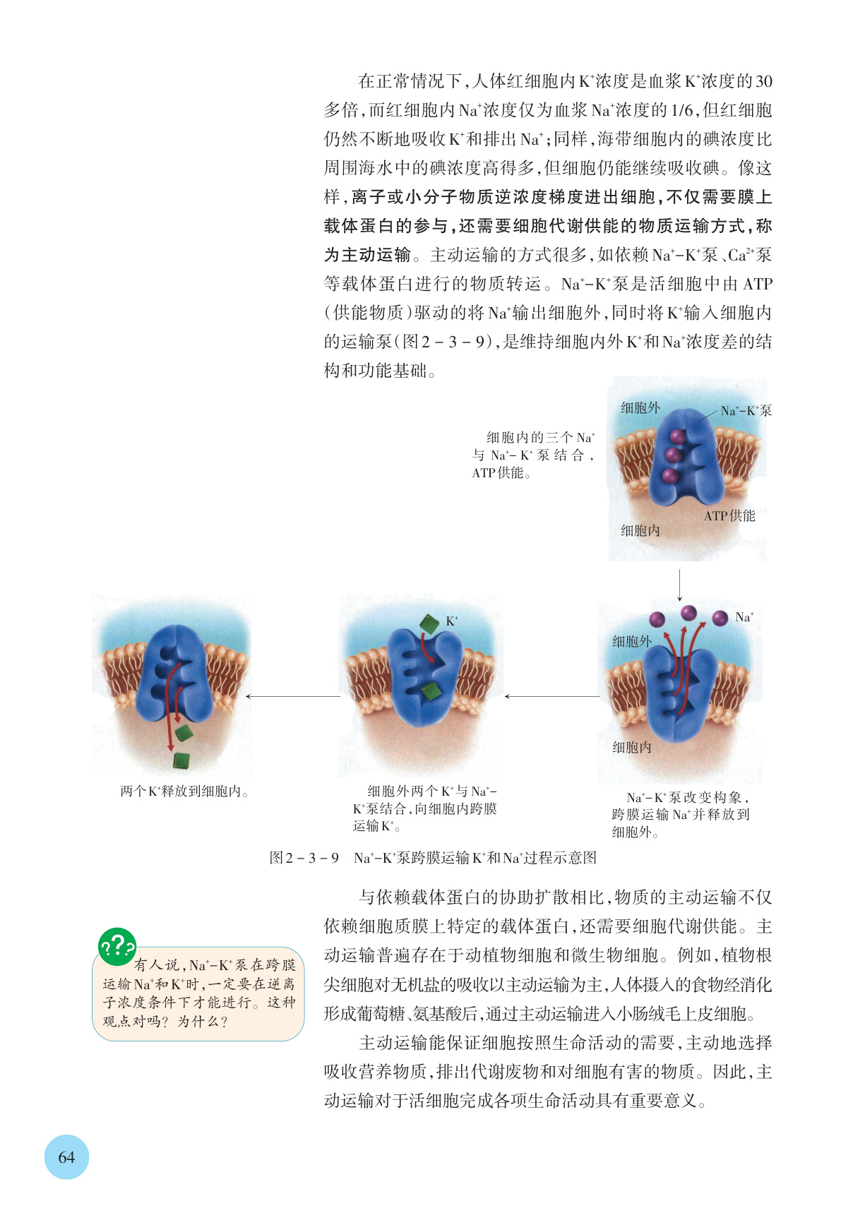 novel_84f0aee7c965.jpg