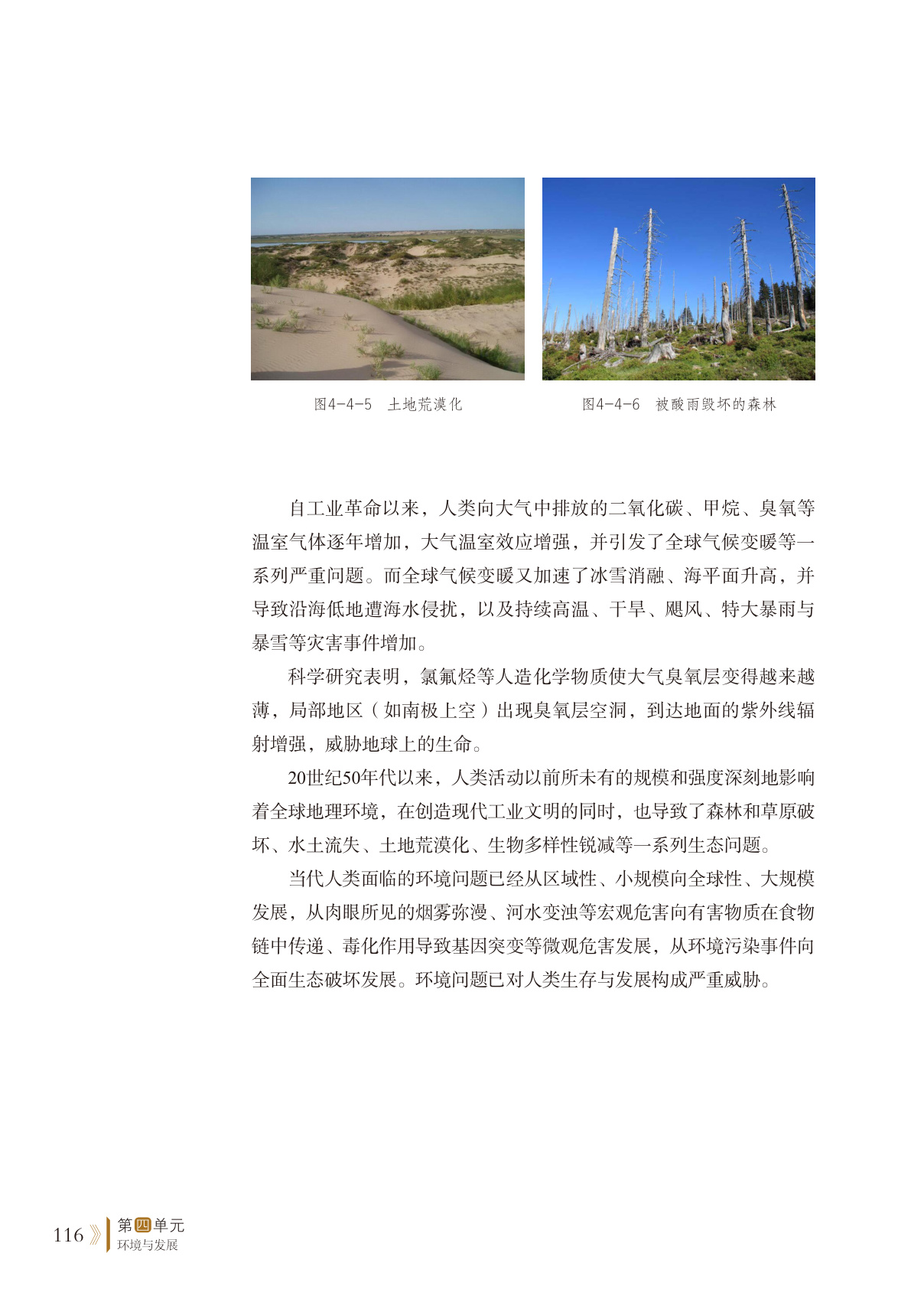 novel_95a2bb7d55a3.jpg