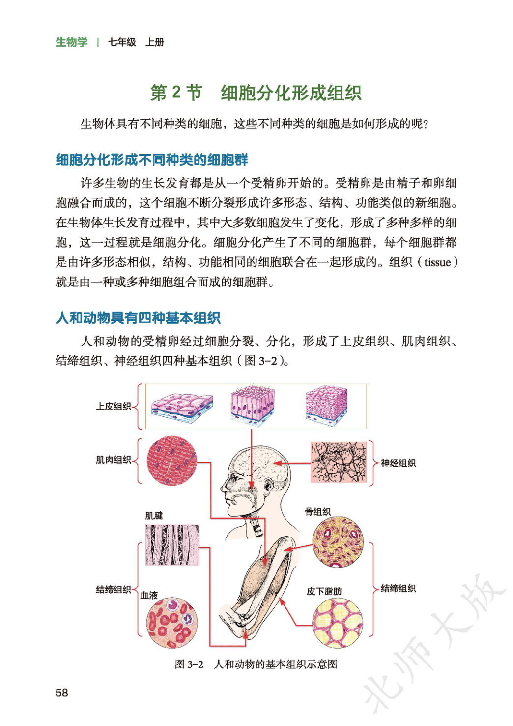 novel_54a109bbd628.jpg