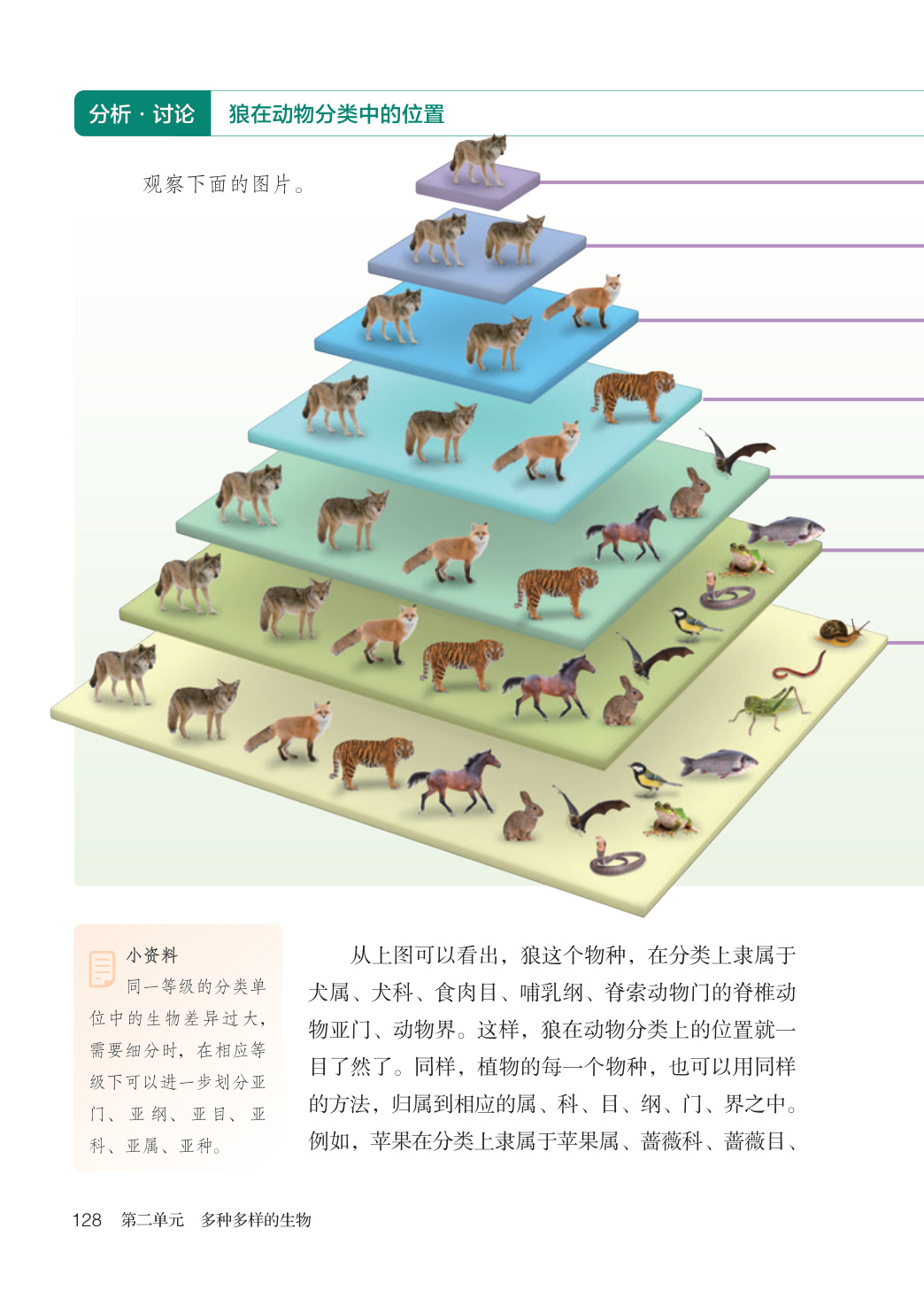 novel_2549444bf65c.jpg