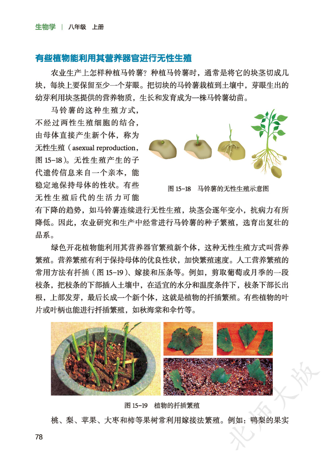 novel_a30798074318.jpg