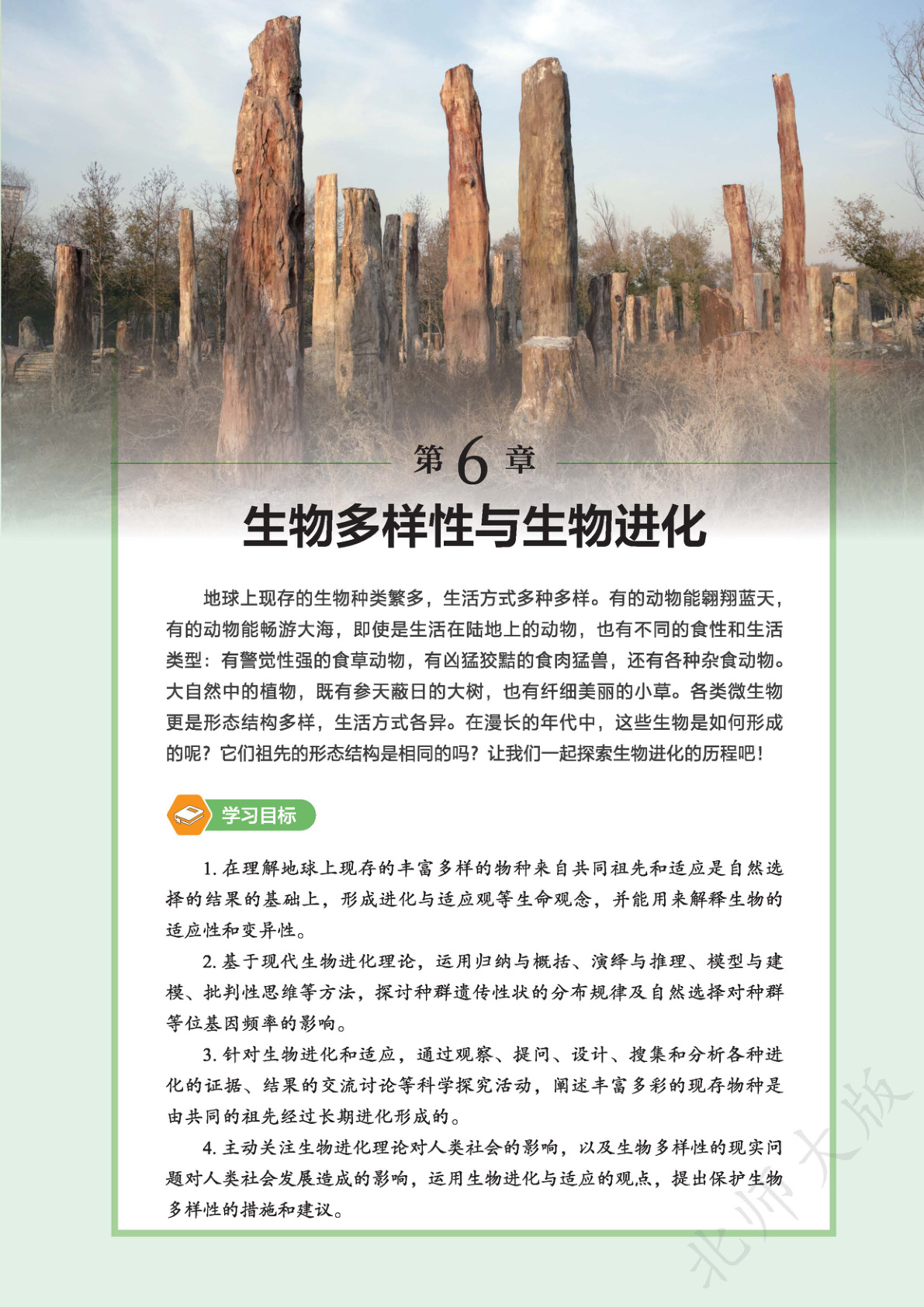 novel_d771cdbfff74.jpg