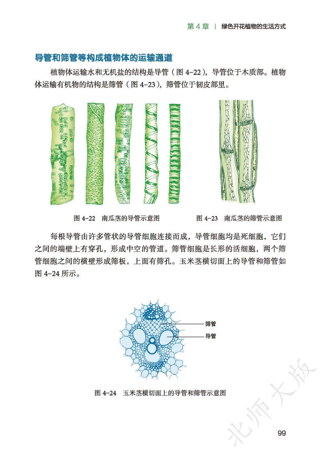 novel_1fd0c555f1cd.jpg