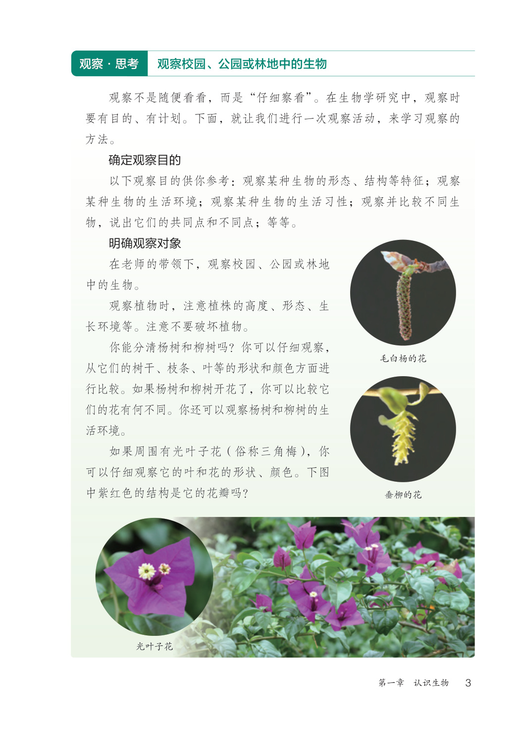 novel_c46a606380d0.jpg