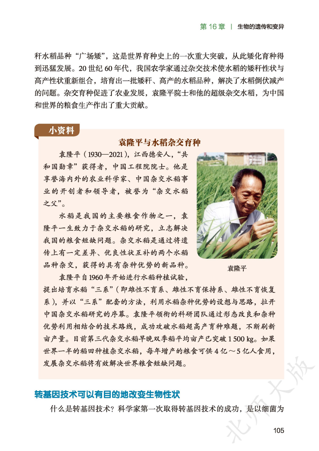 novel_91b2af329ec4.jpg