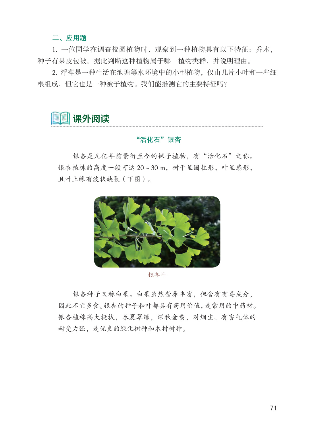 novel_12ee2a7514e7.jpg