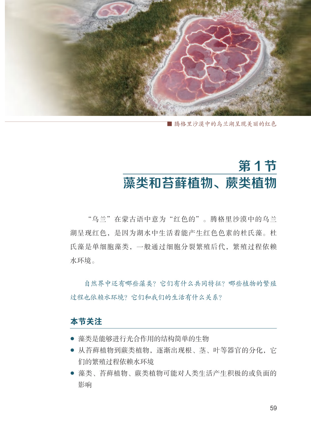 novel_e07ca5fa49bf.jpg