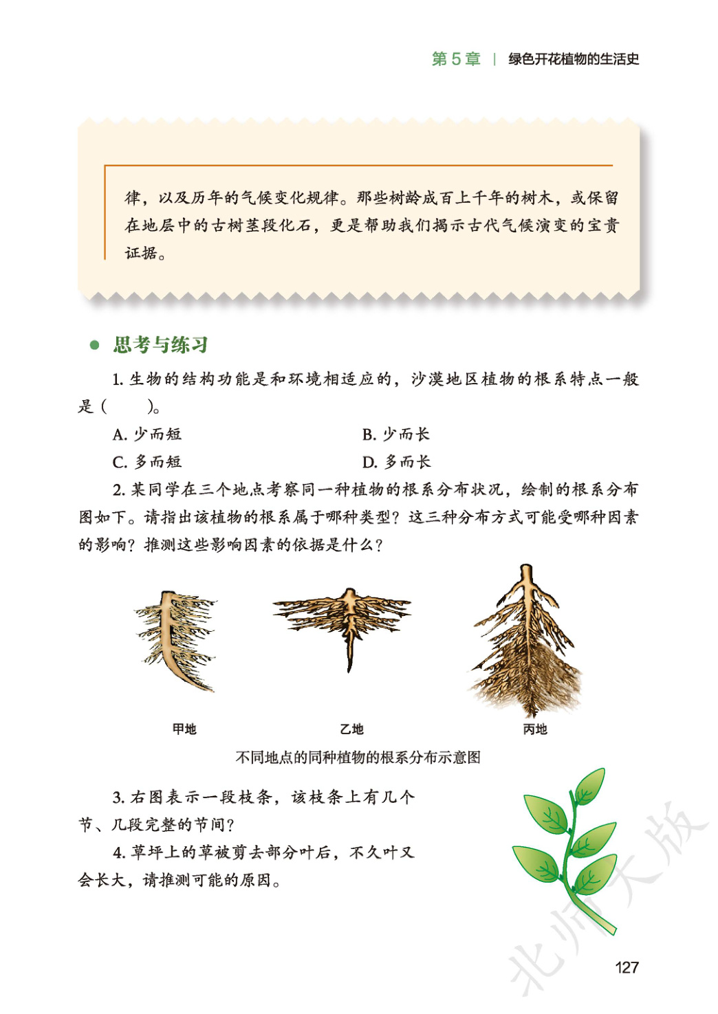 novel_400f303c47a6.jpg