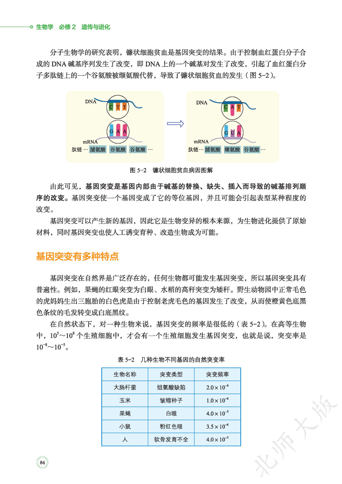 novel_a364d6c670f4.jpg
