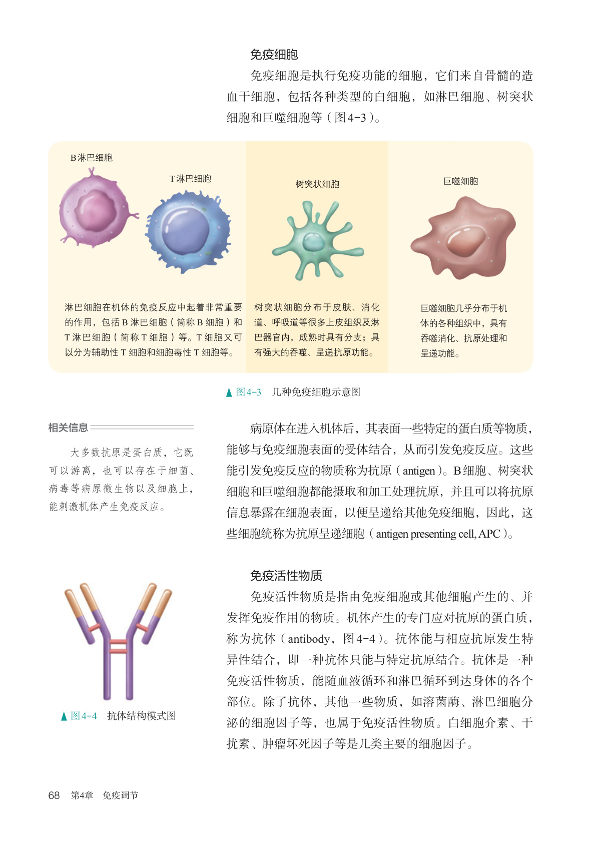 novel_4001bf92c22b.jpg