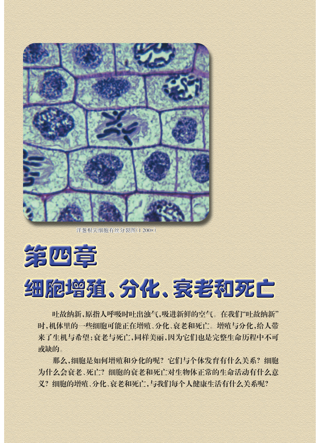 novel_9a381d531056.jpg