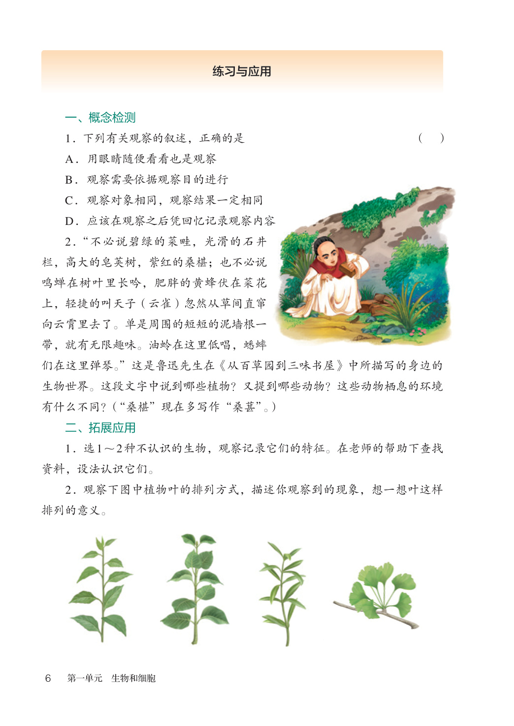 novel_ed919c54f368.jpg