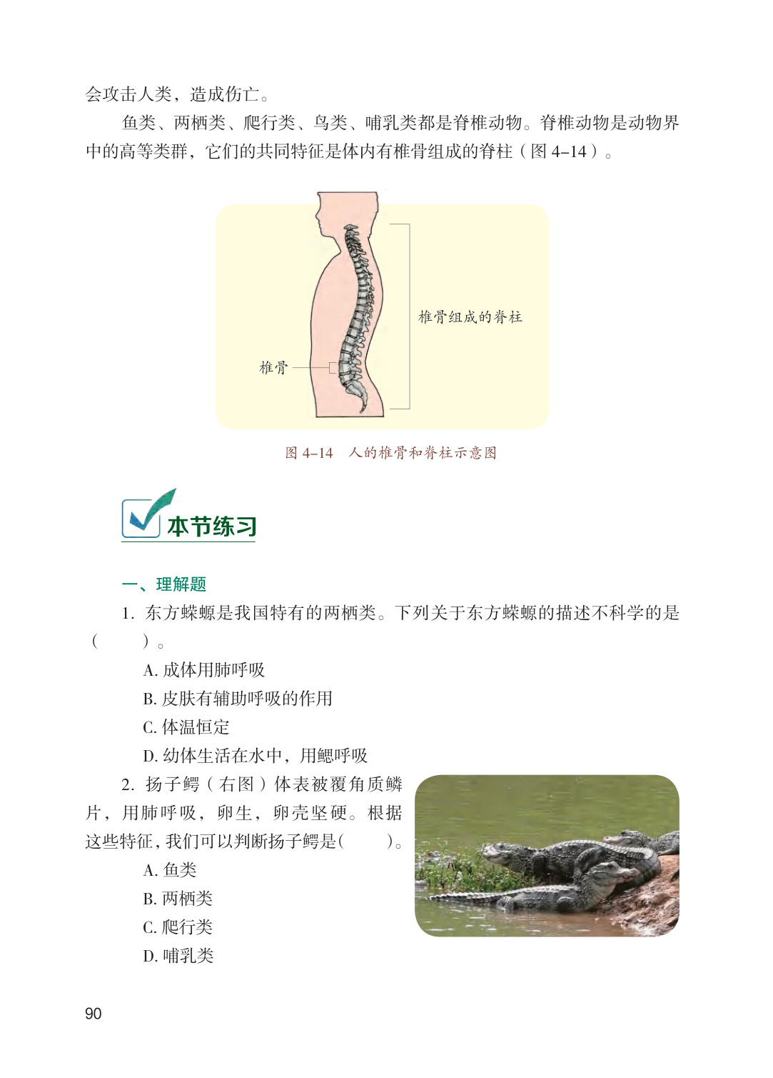 novel_d32d127eda1e.jpg