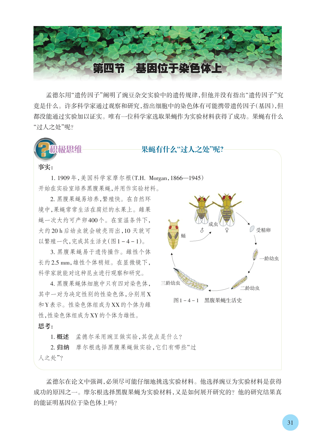 novel_894b7c50c253.jpg