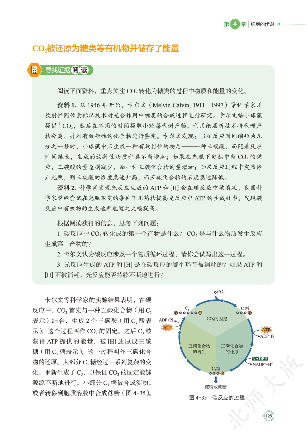 novel_8d66dd2c9a8c.jpg