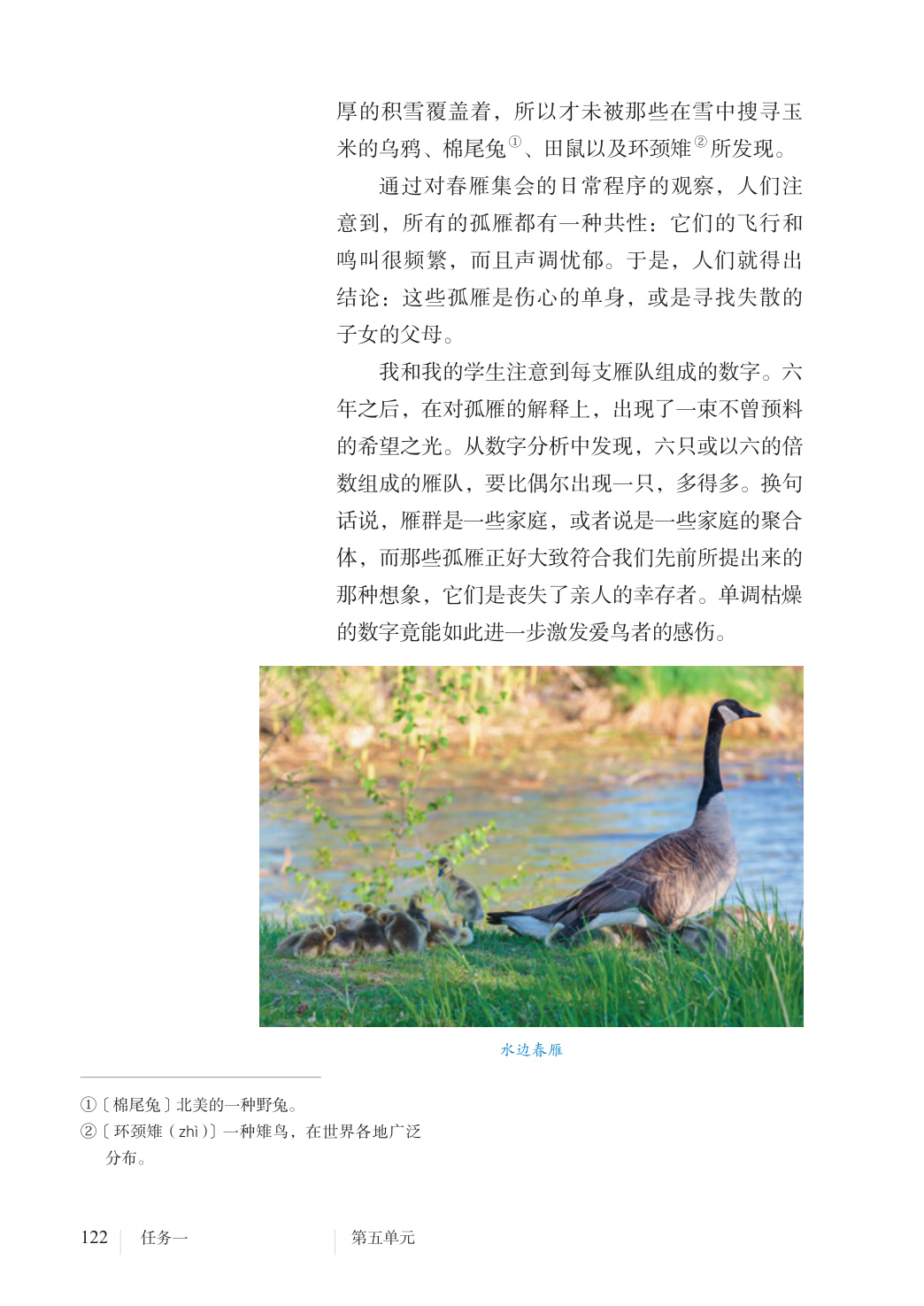 novel_c3cbca49284b.jpg