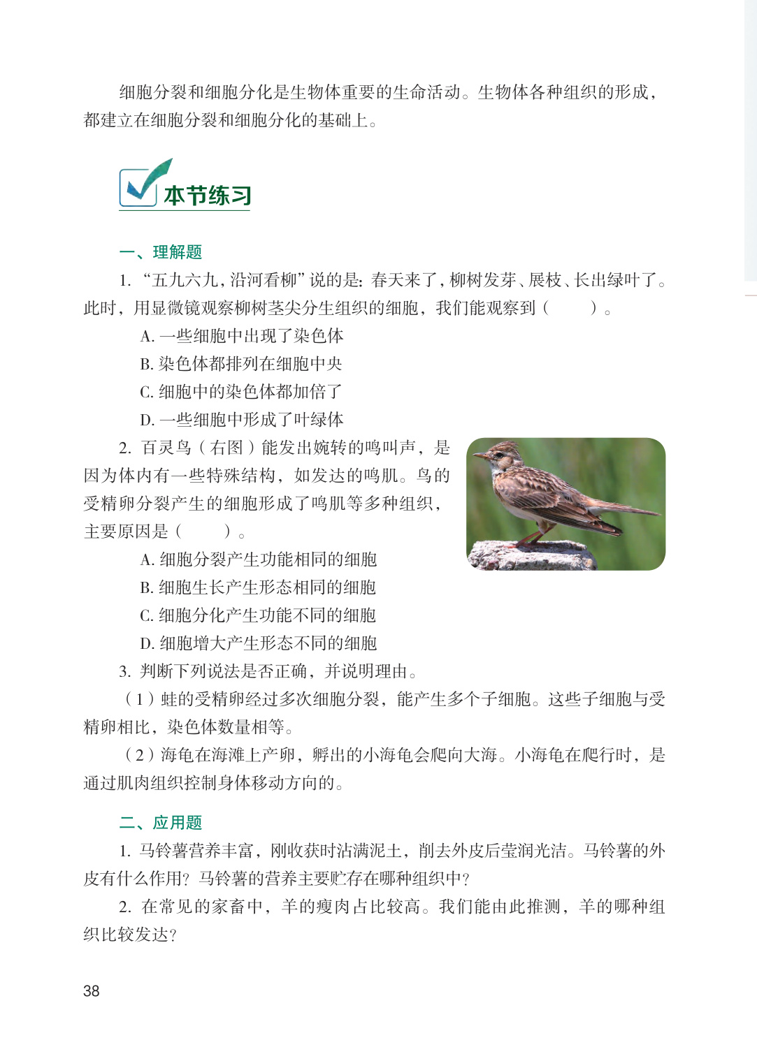 novel_a47e5f12972f.jpg