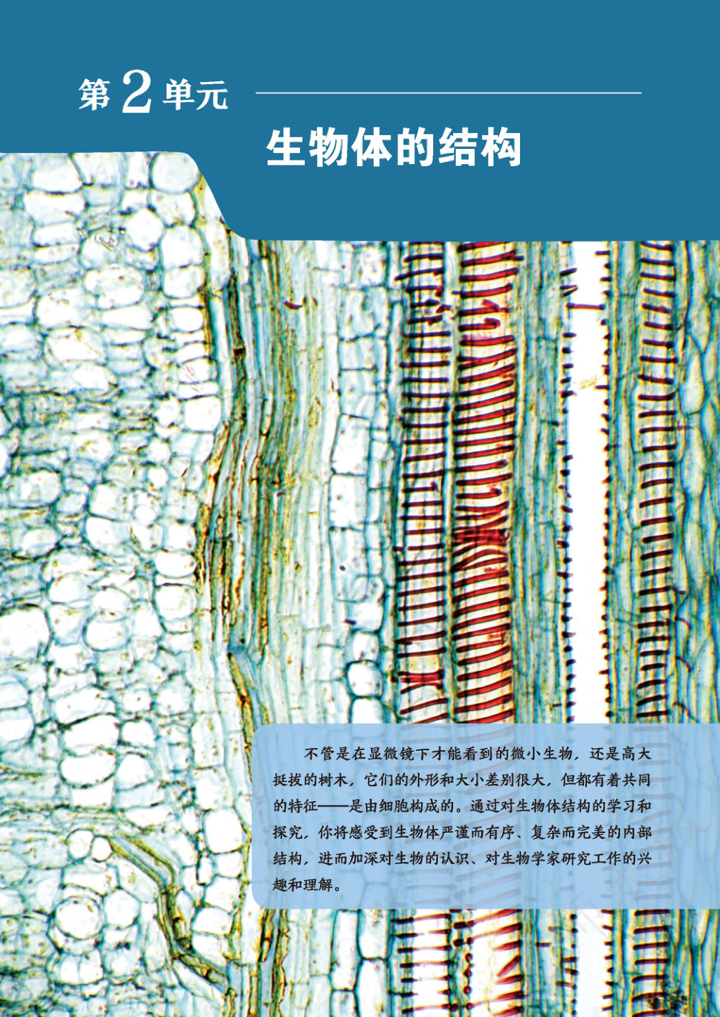 novel_0e2ed556ab57.jpg