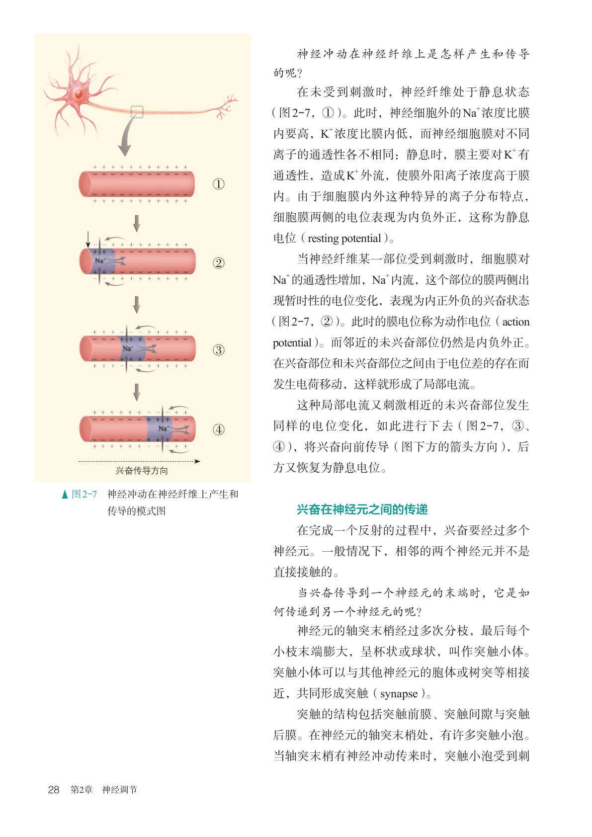 novel_28ee0933637a.jpg
