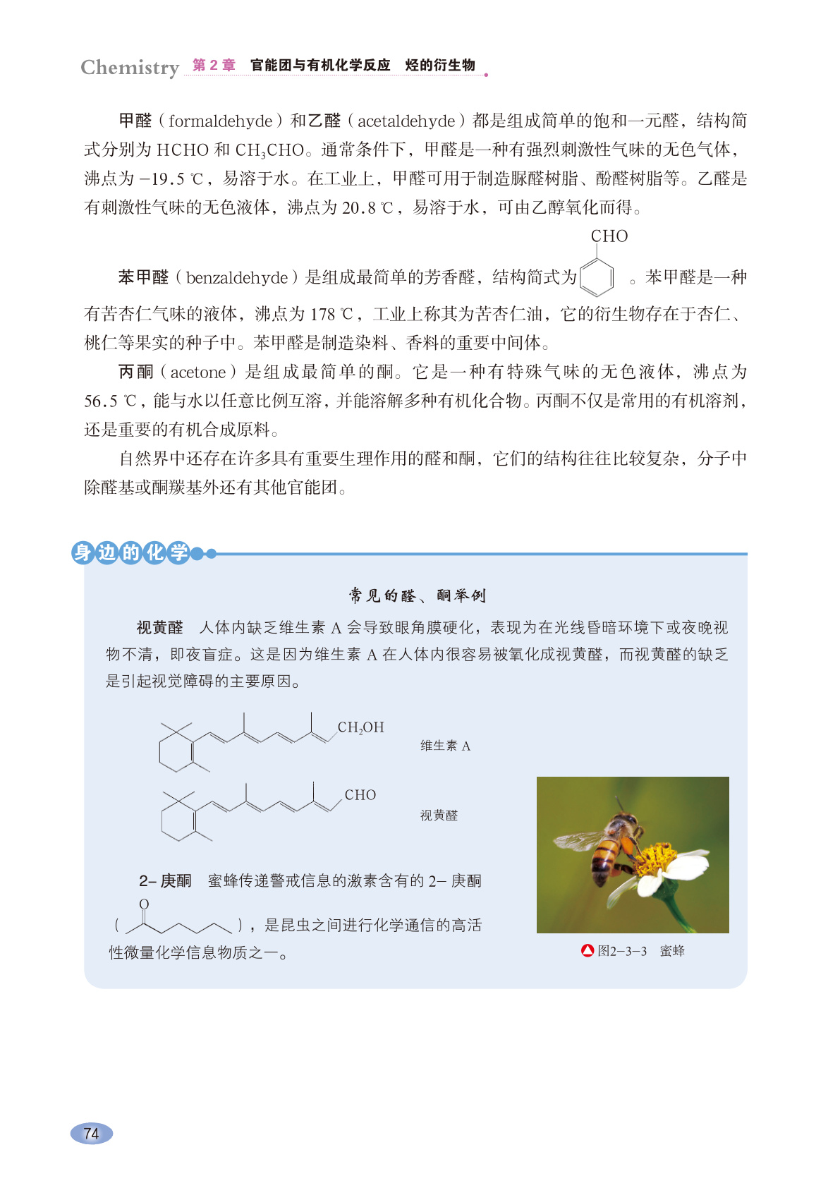 novel_0385fccbcc37.jpg
