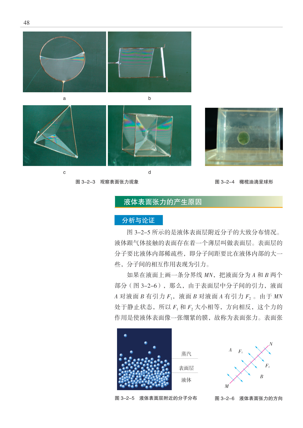 novel_5c9e118b7fa6.jpg