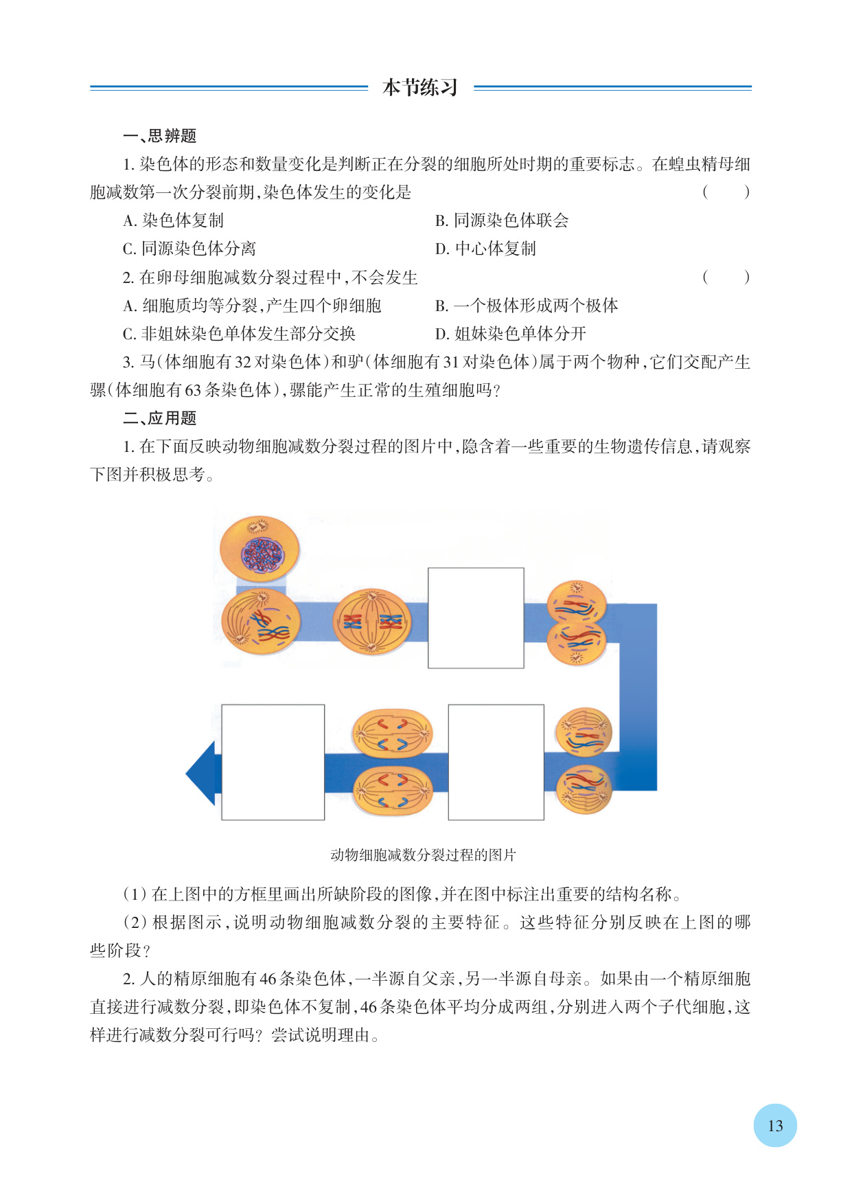 novel_70719d3ef8c9.jpg