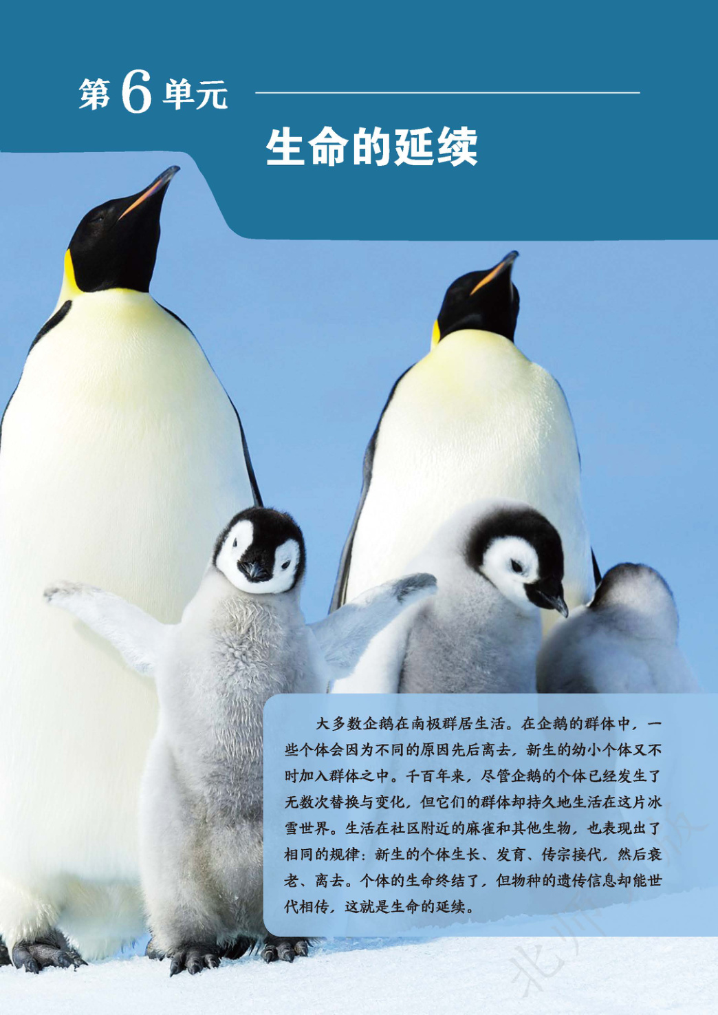 novel_60ed4124bd90.jpg