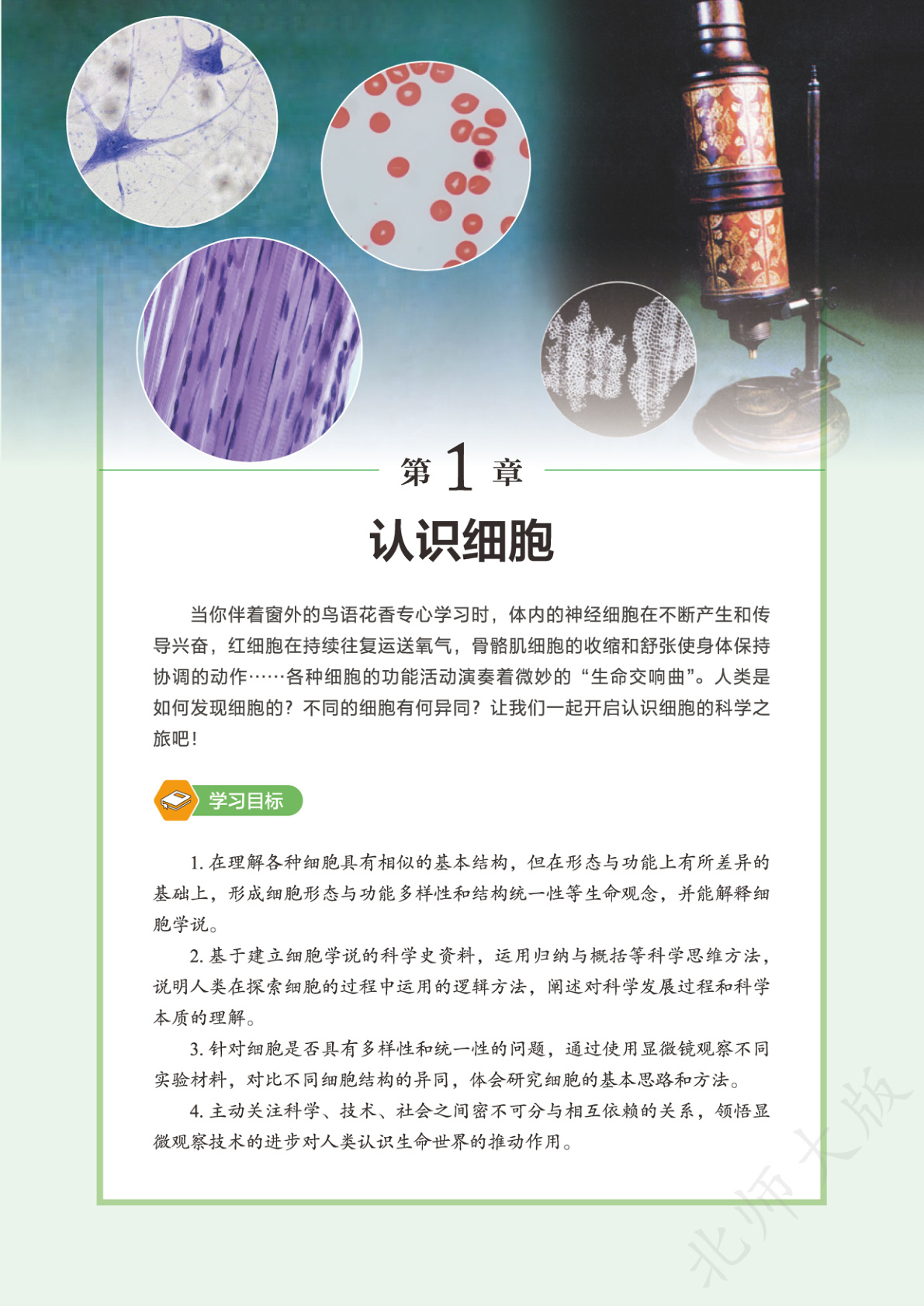 novel_4d7561c14d29.jpg