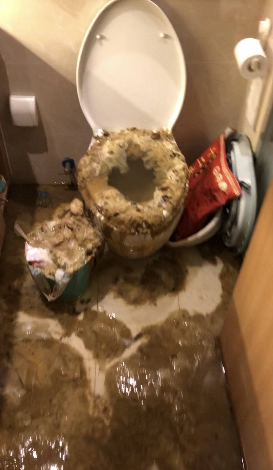 00c537017f88db4d1f1665d35d136b31.jpeg