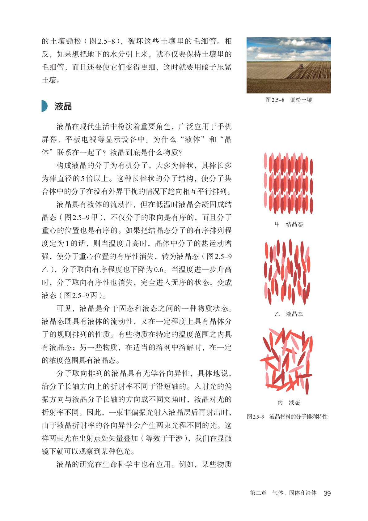 novel_17b8ccc2d4e3.jpg