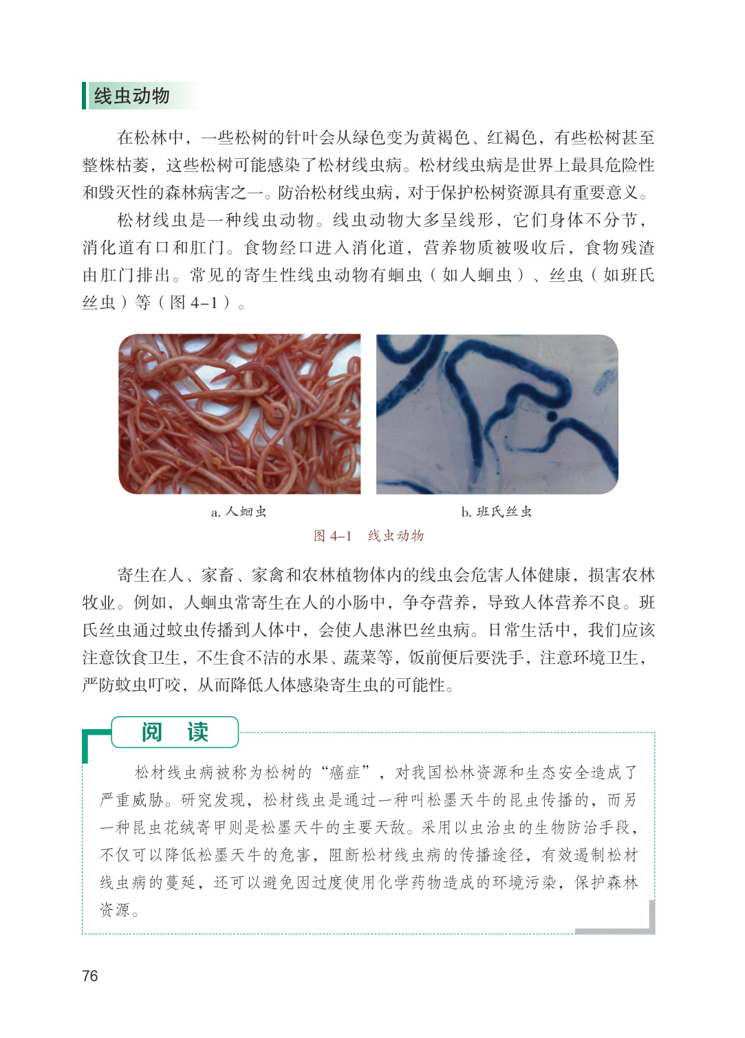 novel_b489ecb36458.jpg